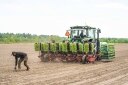 Un employé plante des choux derrière un tracteur