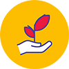 Plant on hand icon